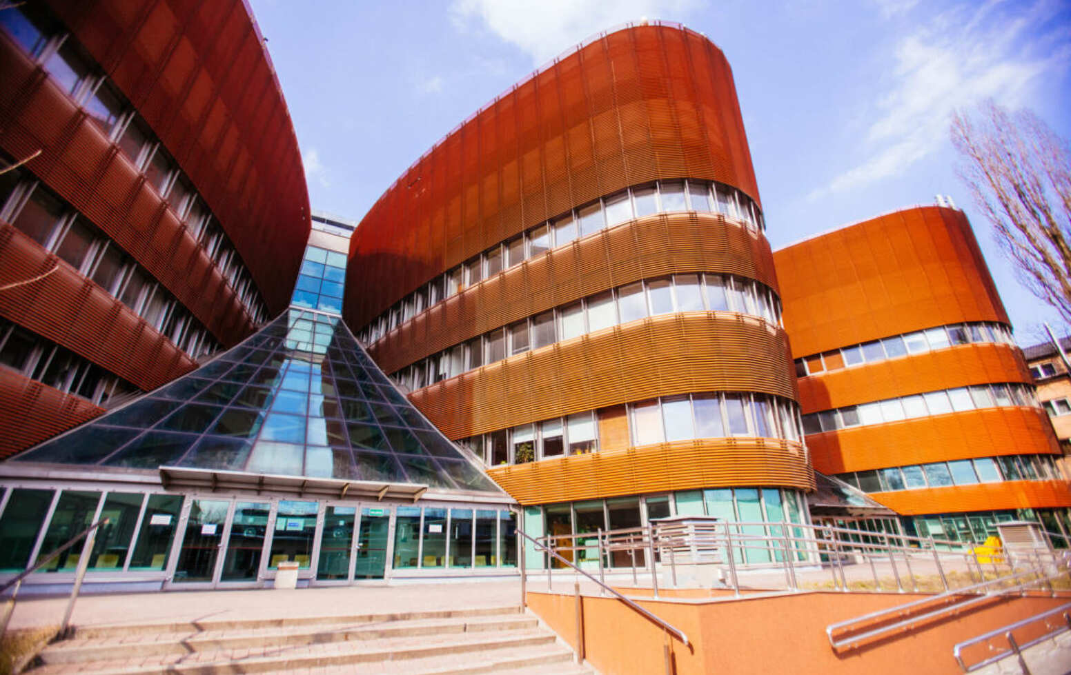 Университет Менеджмента в Варшаве (MANS)